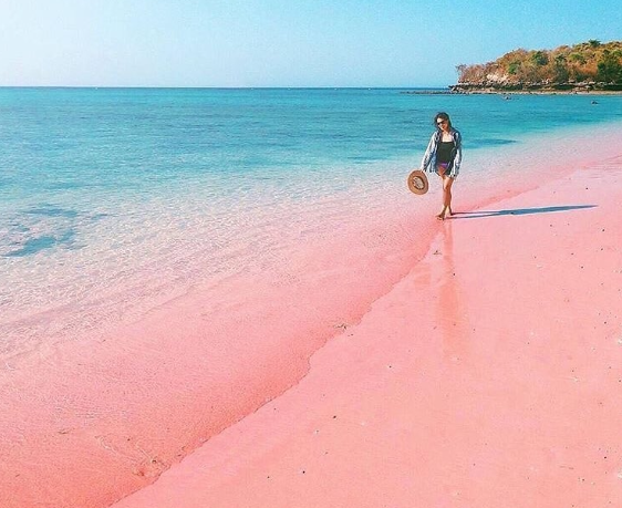 Review Keindahan Pantai Pink di Nusa Tenggara