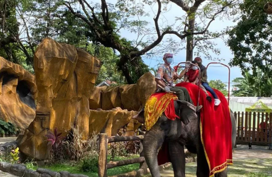 Rekreasi Keluarga Seru di Kebun Binatang Surabaya