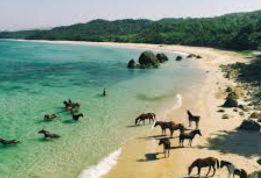 Keindahan Alam dan Budaya Tradisional di Pulau Sumba